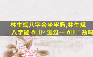 林生斌八字会坐牢吗,林生斌八字能 🌺 逃过一 🌴 劫吗